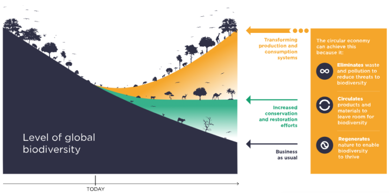 Biodiversity Outlook