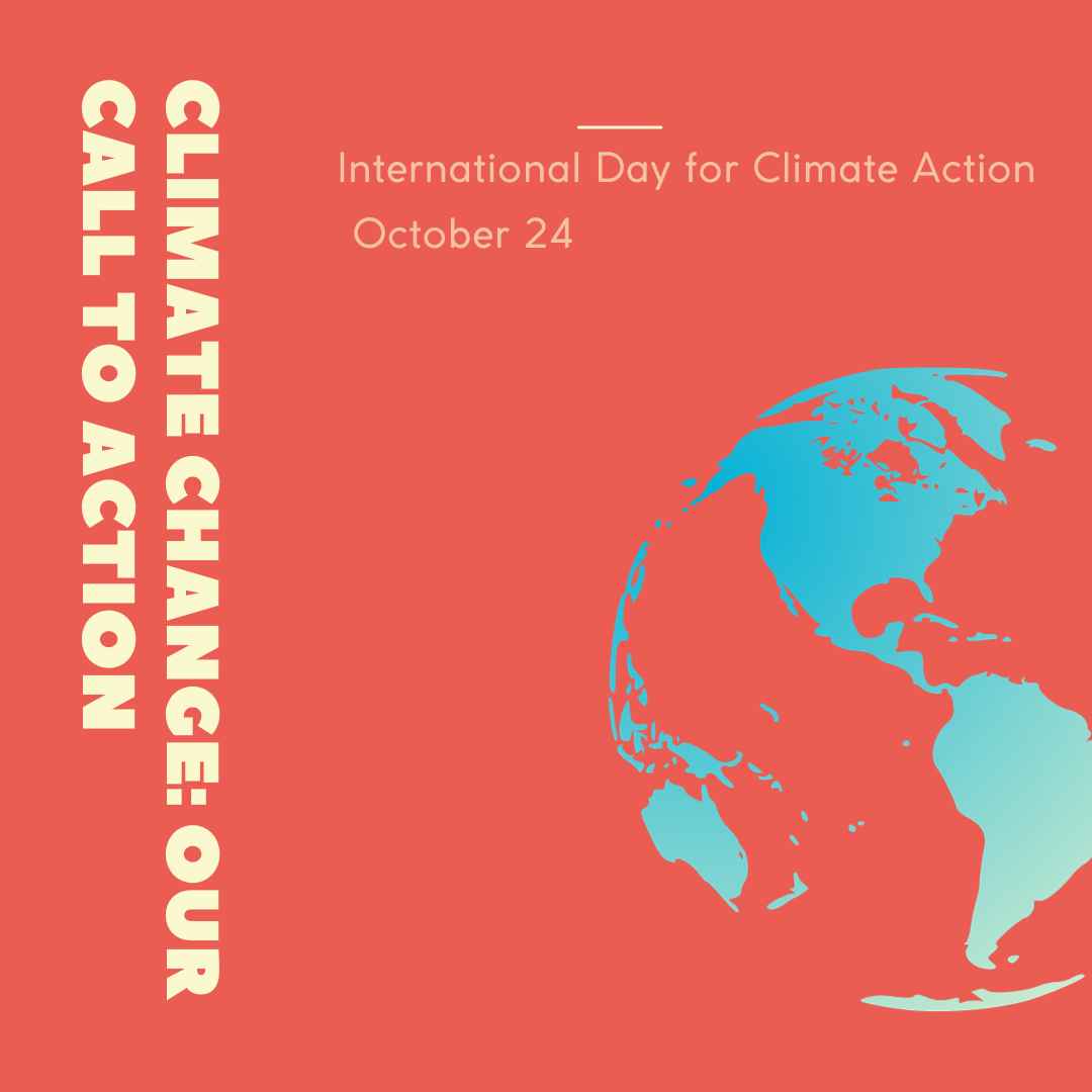 international-day-for-climate-action-used-clothing-wholesalers