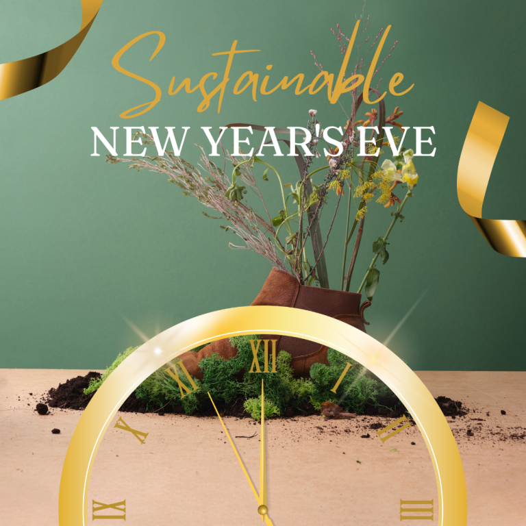 sustainable new year